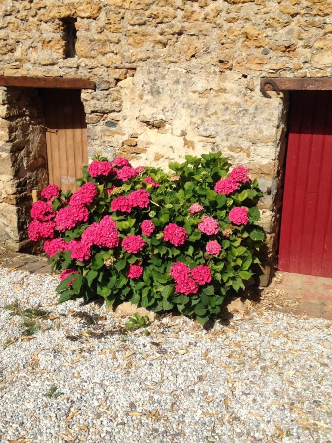 Le Clos De La Viniere Jard-sur-Mer Zewnętrze zdjęcie